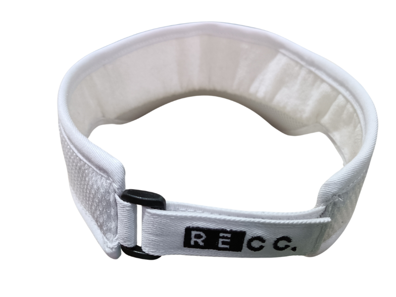 Performance Visor